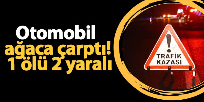 Ordu’da otomobil ağaca çarptı! 1 ölü 2 yaralı | Trabzon Haber