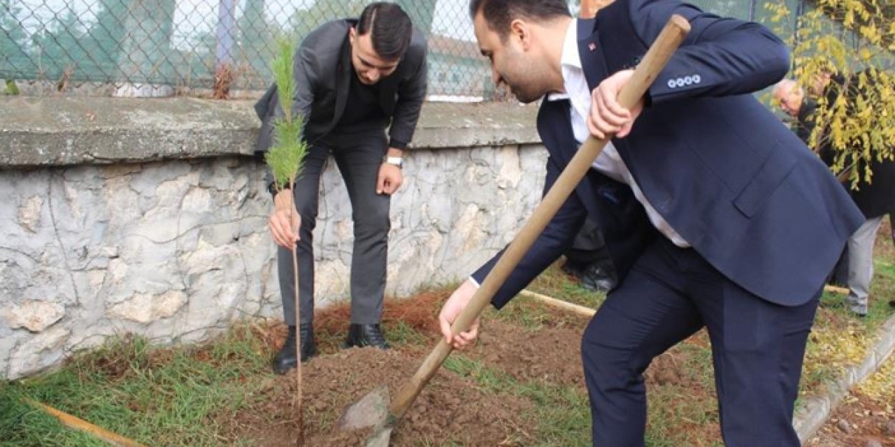 Samsun’da şehit öğretmenler anısına fidan dikildi | Trabzon Haber