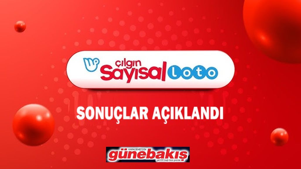 Çılgın Sayısal Loto Sonuçları Açıklandı! 25 Kasım 2024 Çekilişle Eş Zamanlı – Son dakika