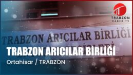 Trabzon’da Arı Yetiştiriciliği: Doğanın ve Lezzetin İncisi