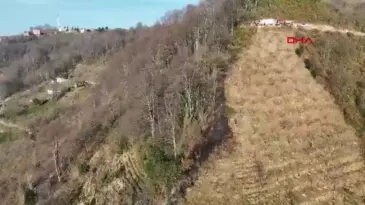 Trabzon’da Fındık Bahçelerinde Yangın Çıktı