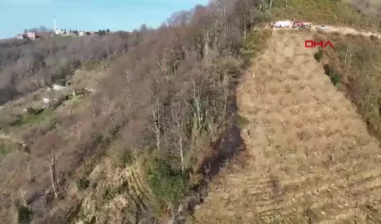 Trabzon’da Fındık Bahçelerinde Yangın Çıktı