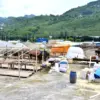 Trabzon’da Kurban Bayramı İçin Hazırlıklar Tamamlandı