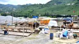 Trabzon’da Kurban Bayramı İçin Hazırlıklar Tamamlandı