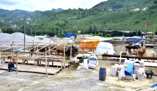 Trabzon’da Kurban Bayramı İçin Hazırlıklar Tamamlandı