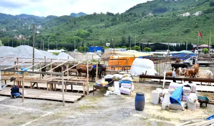 Trabzon’da Kurban Bayramı İçin Hazırlıklar Tamamlandı