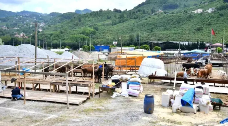Trabzon’da Kurban Bayramı İçin Hazırlıklar Tamamlandı